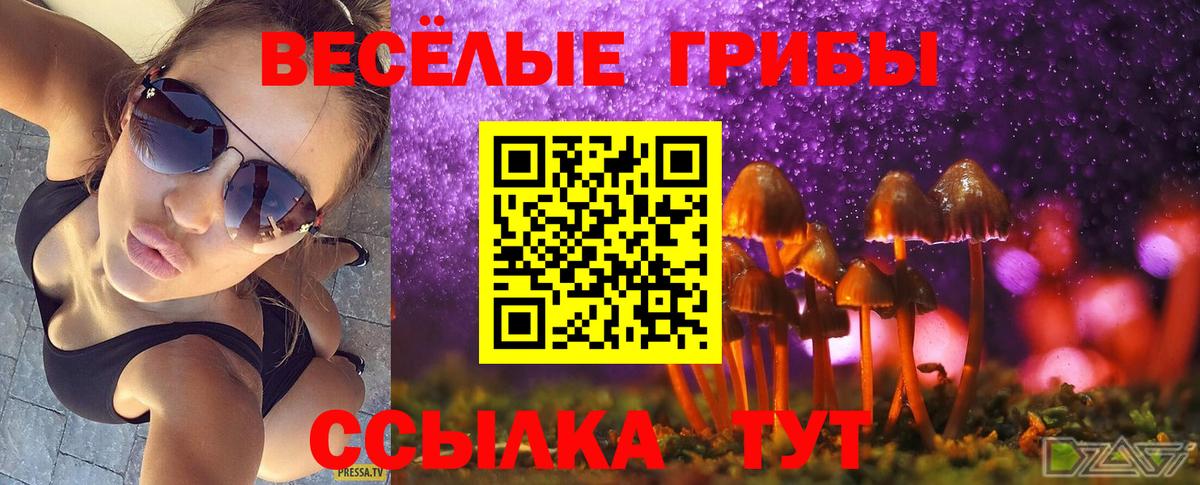 наркота  Вход с VPN  Димитровград  Галлюциногенные грибы Psilocybine cubensis 