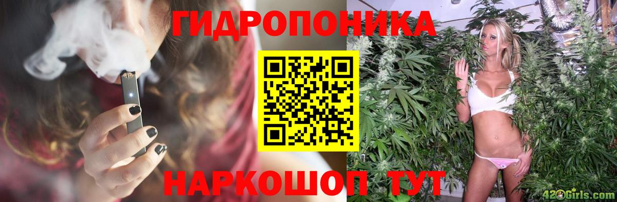 Марихуана Amnesia  Марихуана Ganja  Вход с VPN  Бошки Шишки тримм  Димитровград  Конопля индика 
